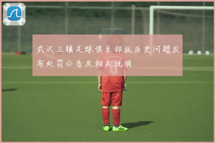 武汉三镇足球俱乐部就历史问题发布处罚公告及相关说明